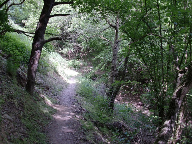 Traumpfad Hatzenporter Laysteig