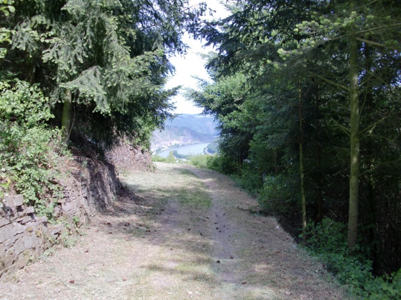 Traumpfad Hatzenporter Laysteig