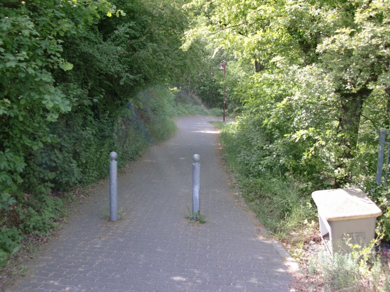 Traumpfad Hatzenporter Laysteig