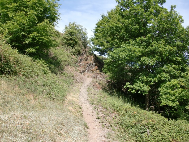 Traumpfad Hatzenporter Laysteig