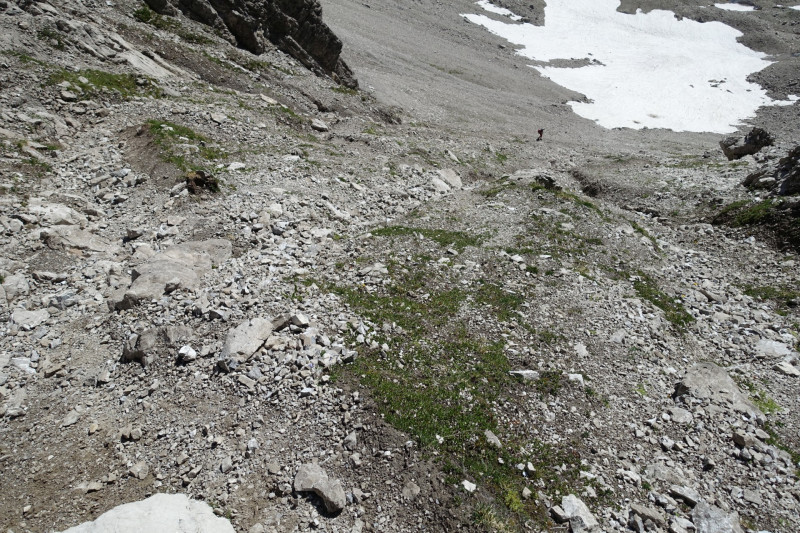 Hermann-von-Barth-Hütte - Schafscharte - Großer Krottenkopf - Kemptner Hütte
