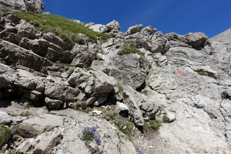 Hermann-von-Barth-Hütte - Schafscharte - Großer Krottenkopf - Kemptner Hütte