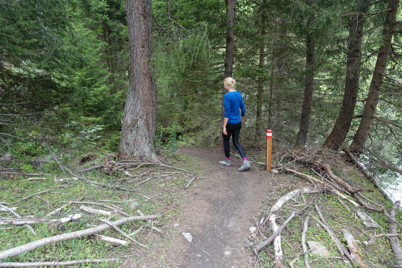 Hinterbichl - Islitzeralm - Hinterbichl