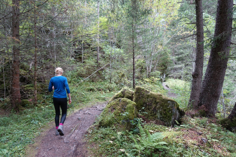 Hinterbichl - Islitzeralm - Hinterbichl
