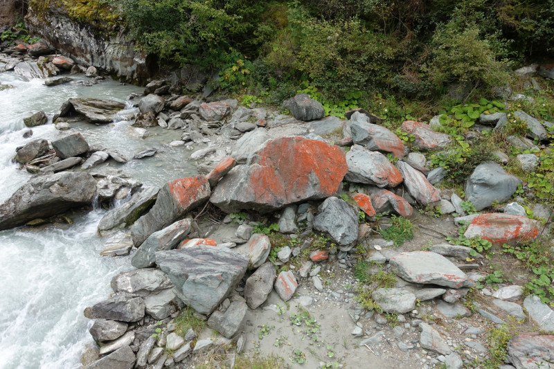 Hinterbichl - Islitzeralm - Hinterbichl