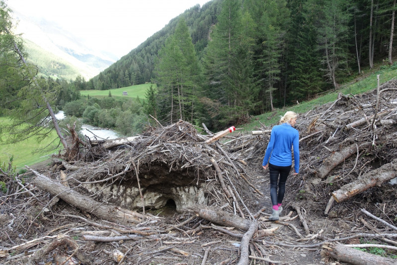 Hinterbichl - Islitzeralm - Hinterbichl