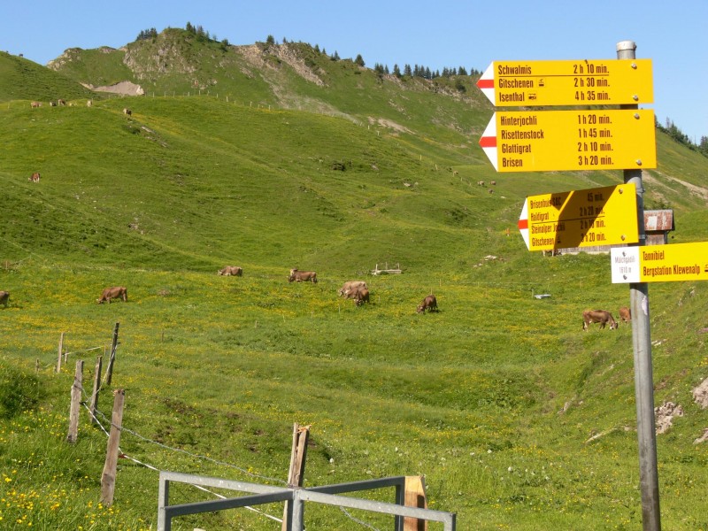 Hinterjochli