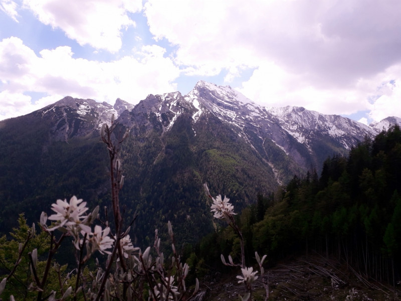 Hintersee - Halsalm - Hintersee