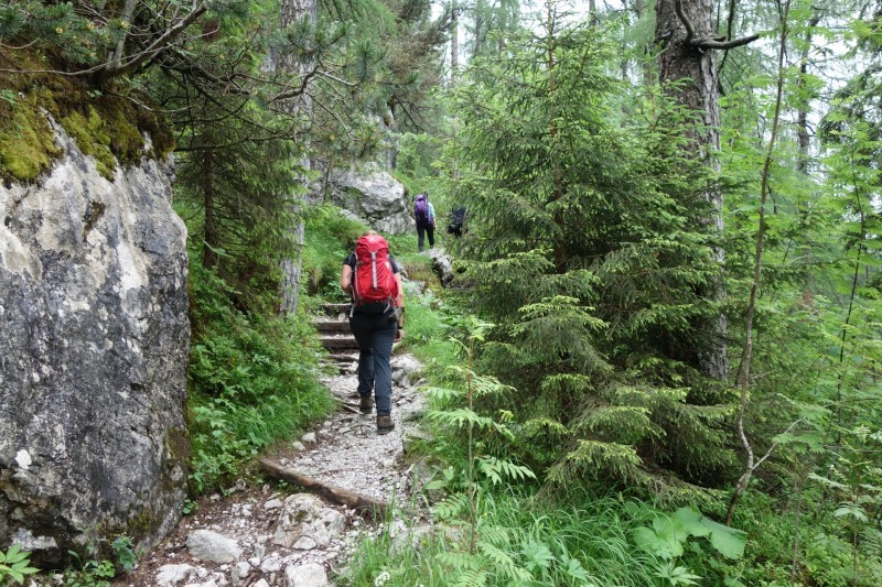 Hintersee Holzlagerplatz - Schrtenalm - Blaueishtte