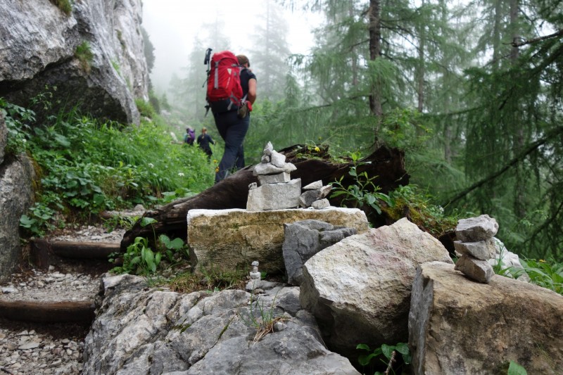 Hintersee Holzlagerplatz - Schrtenalm - Blaueishtte