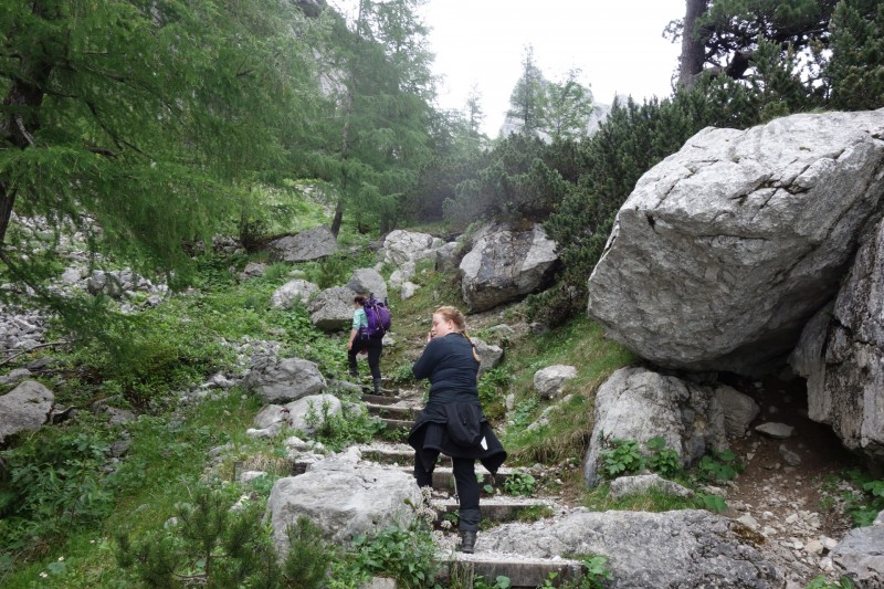 Hintersee Holzlagerplatz - Schrtenalm - Blaueishtte