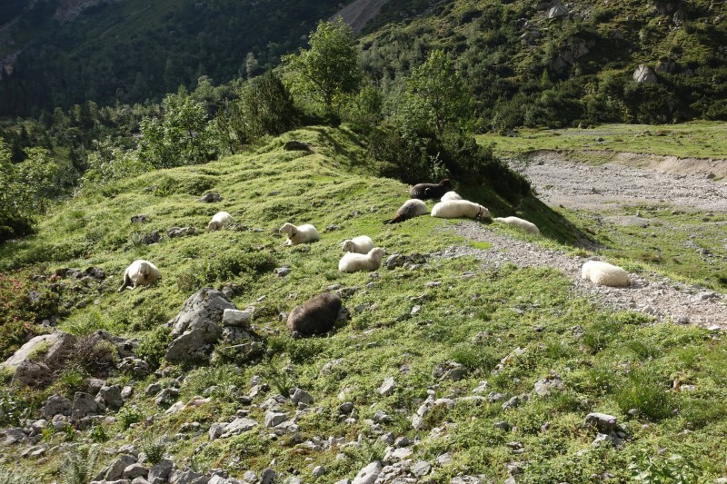 Hllentalangerhtte - Riffelscharte - Wiener-Neustdter-Htte