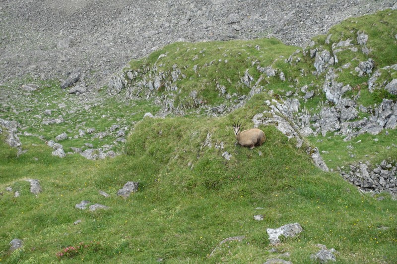 Hllentalangerhtte - Riffelscharte - Wiener-Neustdter-Htte