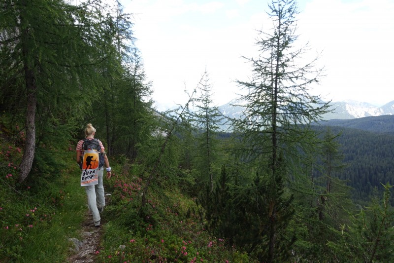 Hllentalangerhtte - Riffelscharte - Wiener-Neustdter-Htte
