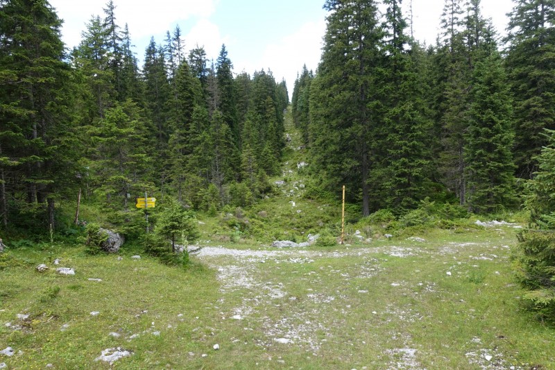 Hllentalangerhtte - Riffelscharte - Wiener-Neustdter-Htte