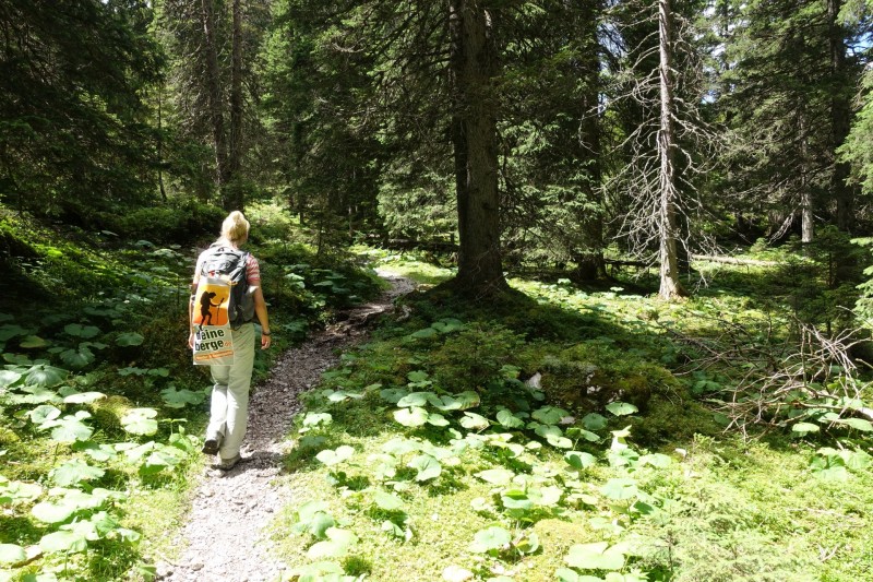Hllentalangerhtte - Riffelscharte - Wiener-Neustdter-Htte