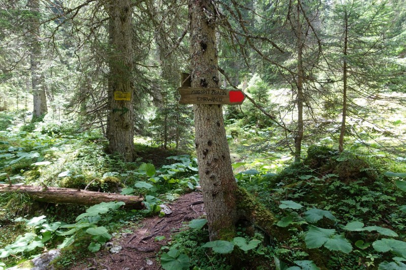 Hllentalangerhtte - Riffelscharte - Wiener-Neustdter-Htte