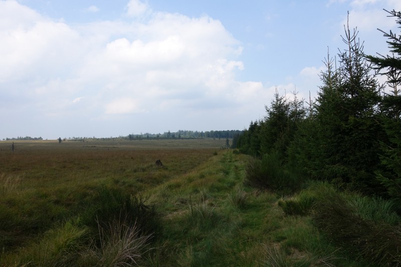 Hohes Venn: Hill - lang