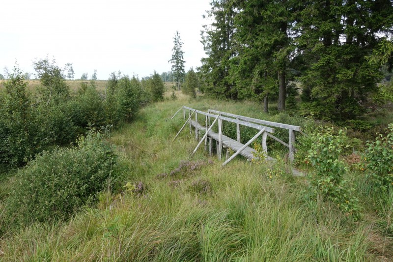 Hohes Venn: Hill - lang
