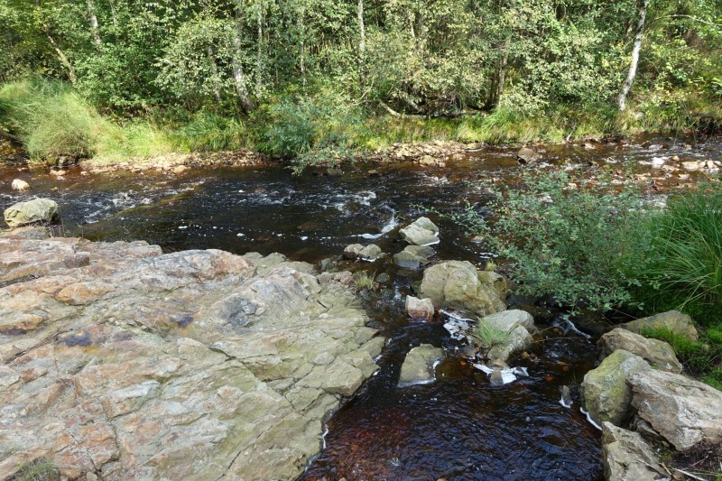 Hohes Venn: Hill - lang