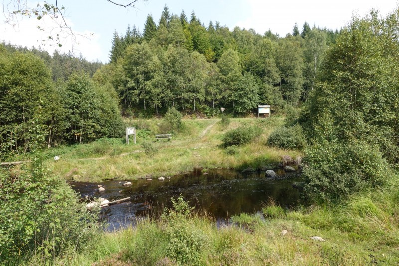 Hohes Venn: Hill - lang