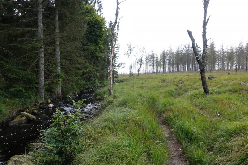 Hohes Venn: Hill - lang