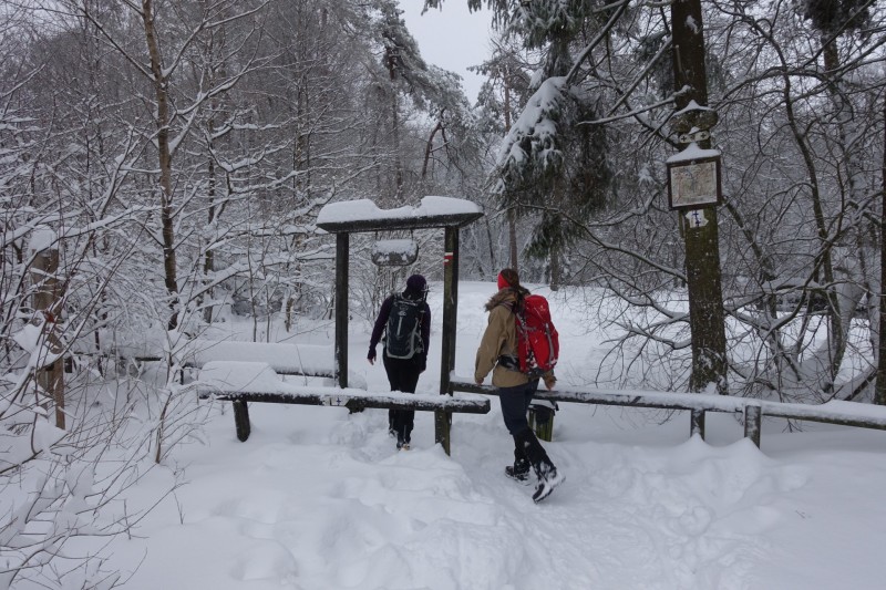 Hohes Venn: Hoegne