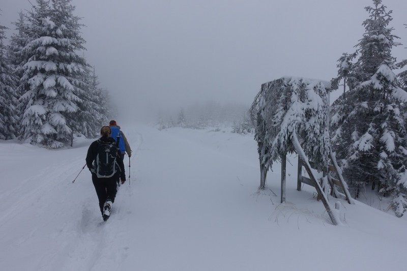 Hohes Venn: Hoegne
