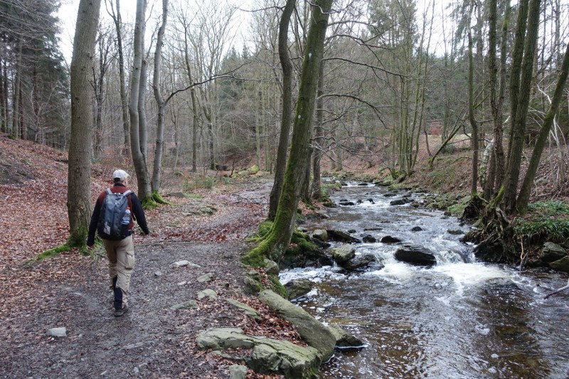 Hohes Venn: Statte und Sawe