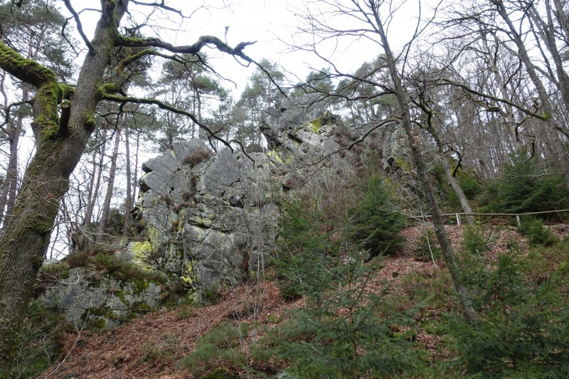 Hohes Venn: Statte und Sawe