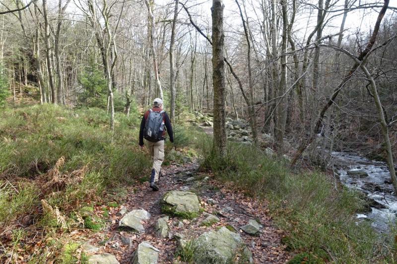 Hohes Venn: Statte und Sawe