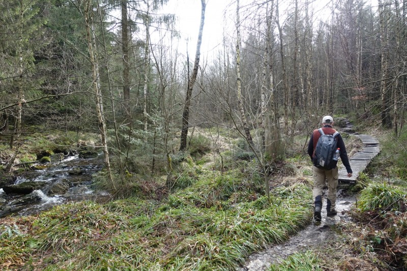 Hohes Venn: Statte und Sawe