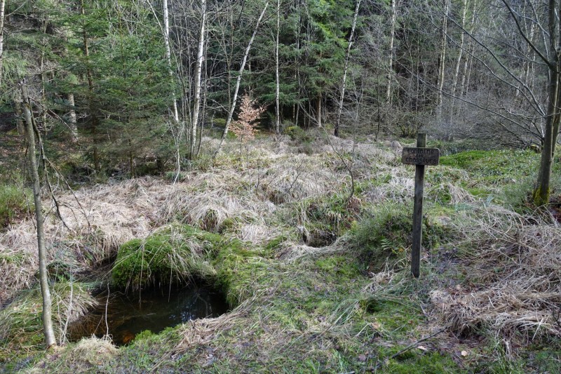 Hohes Venn: Statte und Sawe