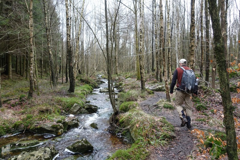 Hohes Venn: Statte und Sawe