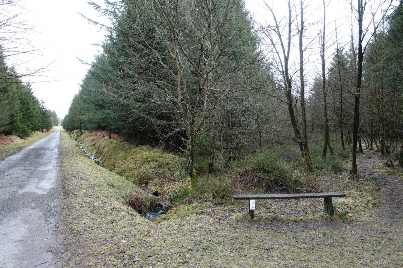 Hohes Venn: Statte und Sawe