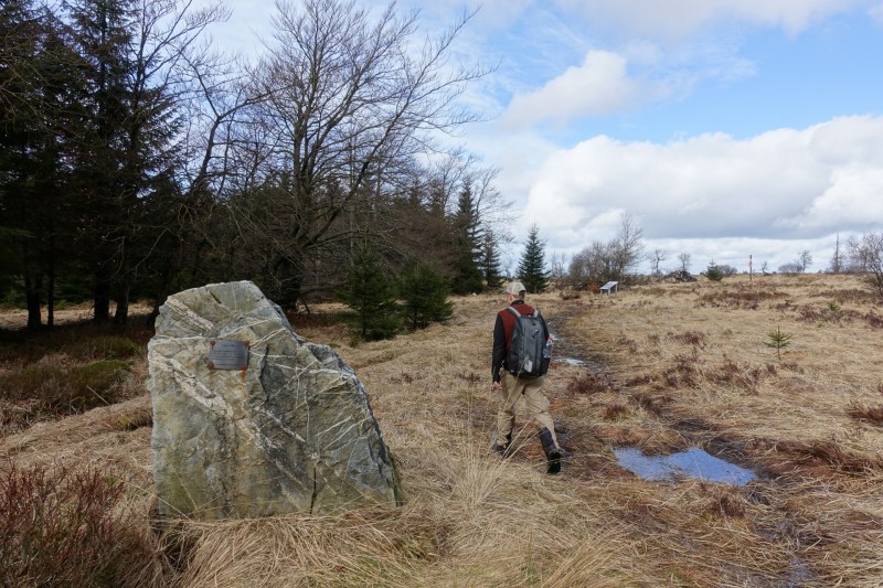 Hohes Venn: Statte und Sawe
