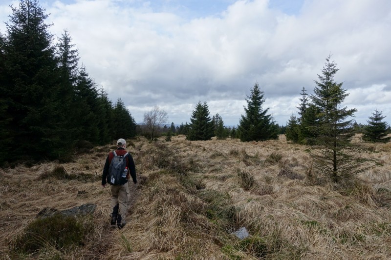 Hohes Venn: Statte und Sawe