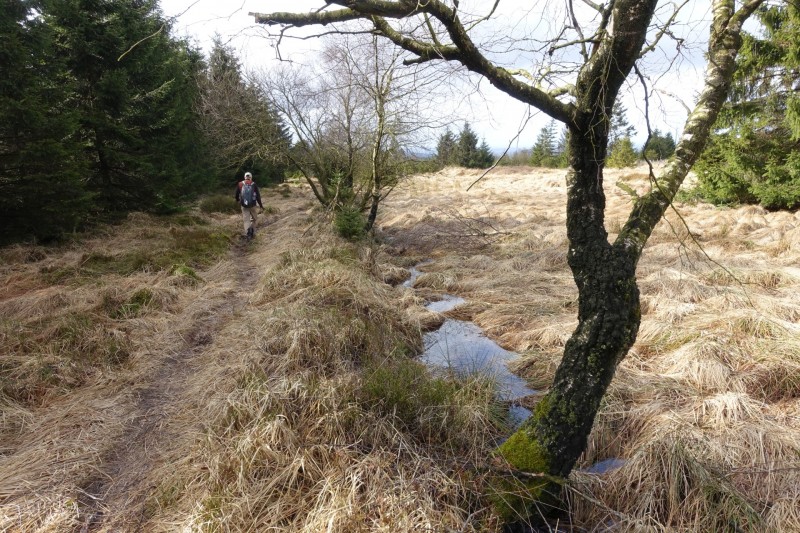 Hohes Venn: Statte und Sawe