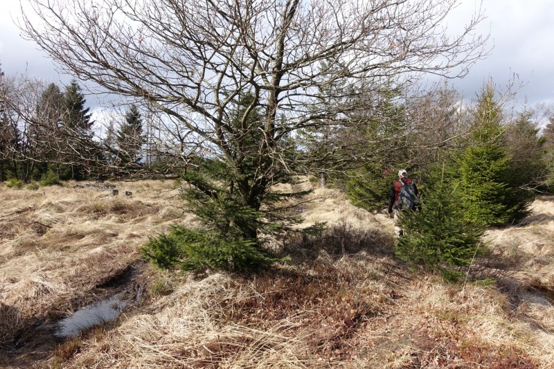 Hohes Venn: Statte und Sawe