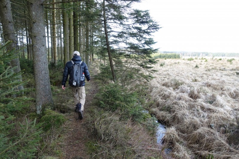 Hohes Venn: Statte und Sawe