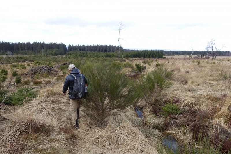 Hohes Venn: Statte und Sawe