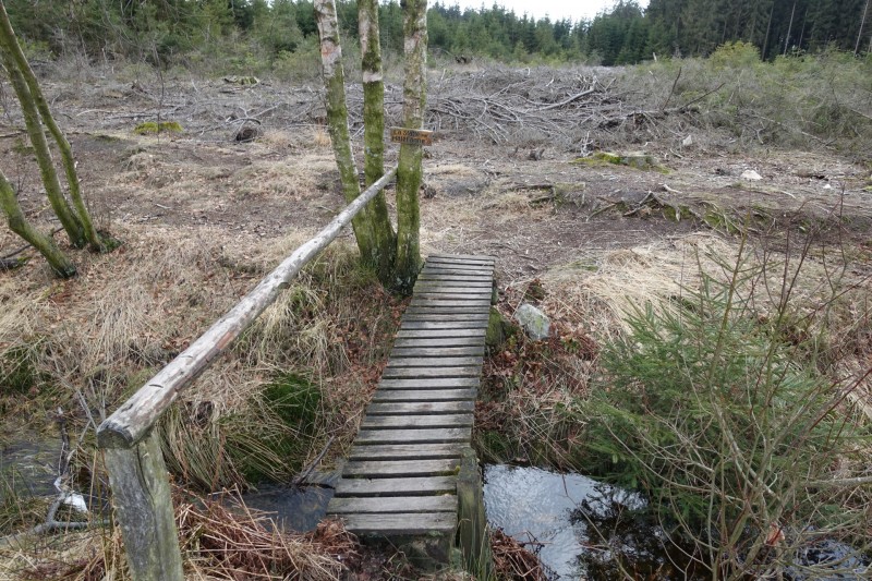 Hohes Venn: Statte und Sawe