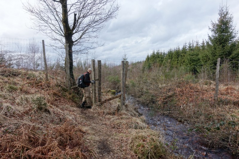 Hohes Venn: Statte und Sawe