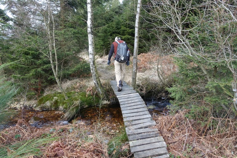 Hohes Venn: Statte und Sawe