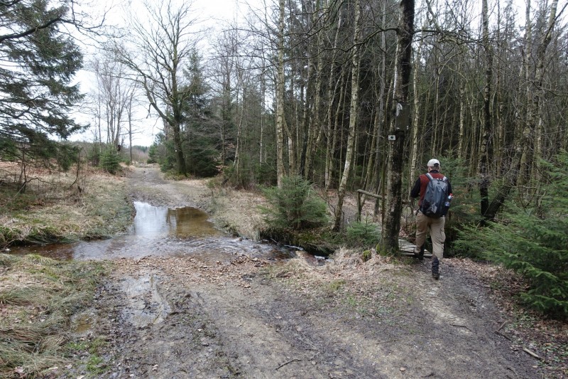 Hohes Venn: Statte und Sawe