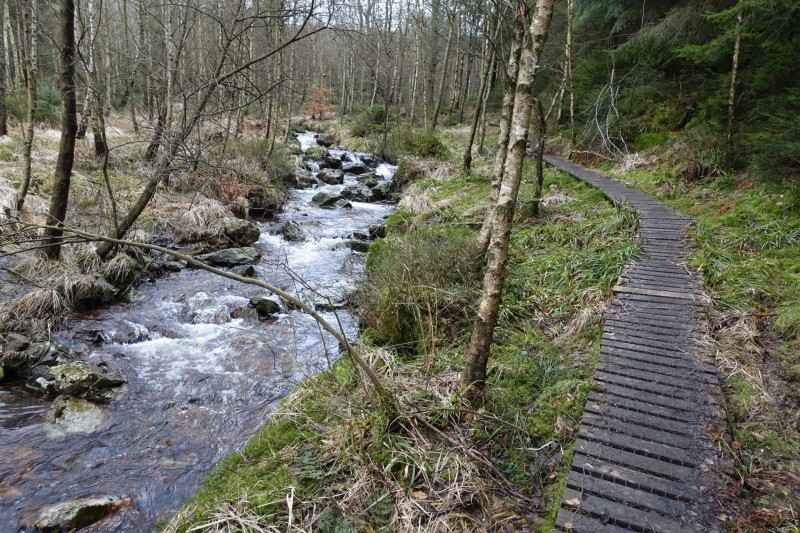 Hohes Venn: Statte und Sawe