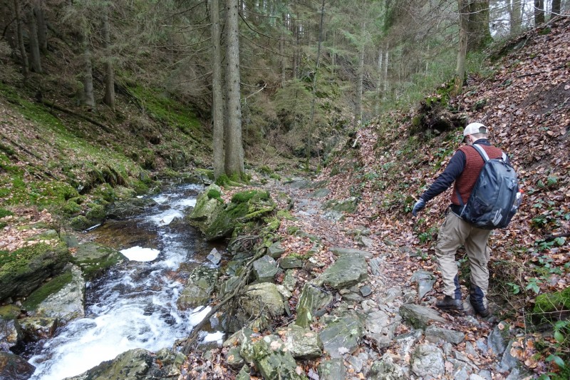 Hohes Venn: Statte und Sawe