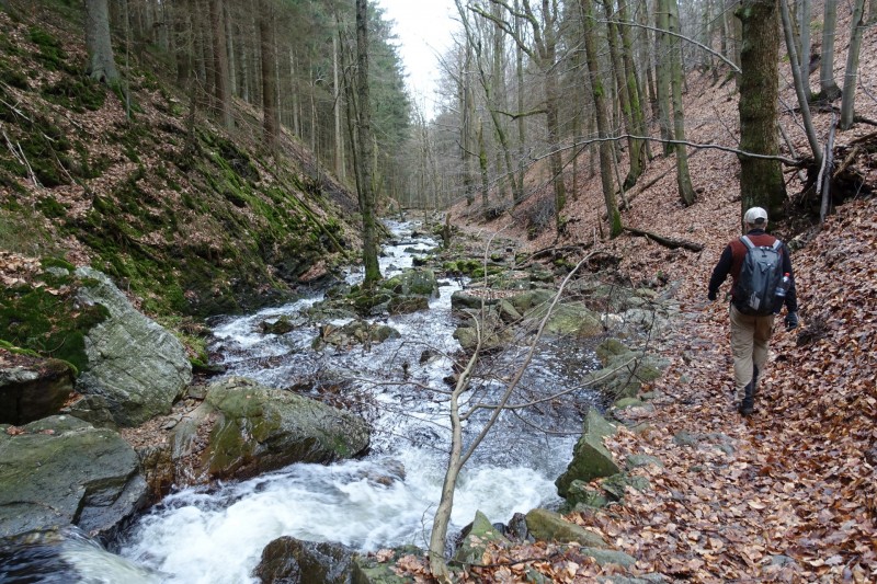 Hohes Venn: Statte und Sawe