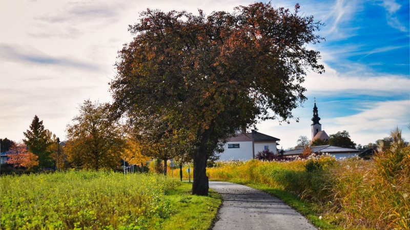 Jakobskirche Runde von Pichl bei Wels