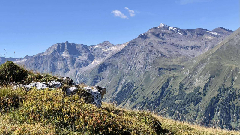 Kalkbretterkopf